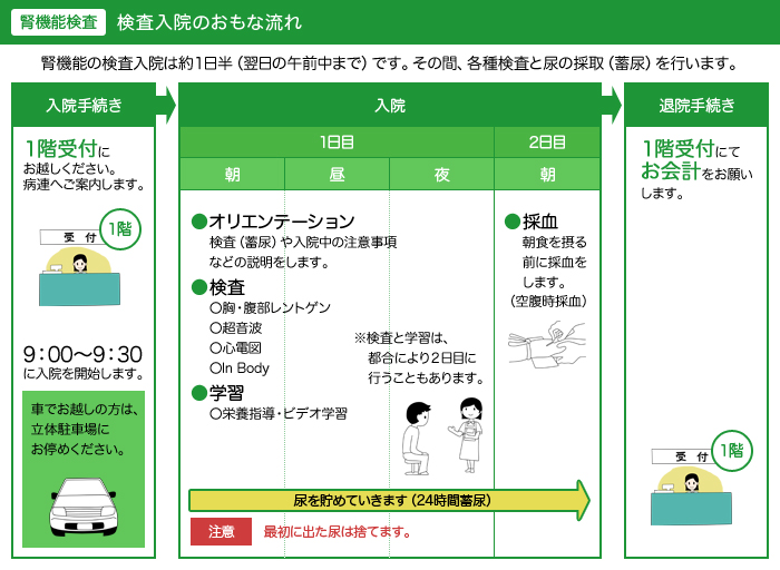 検査入院の主な流れ（腎機能検査）